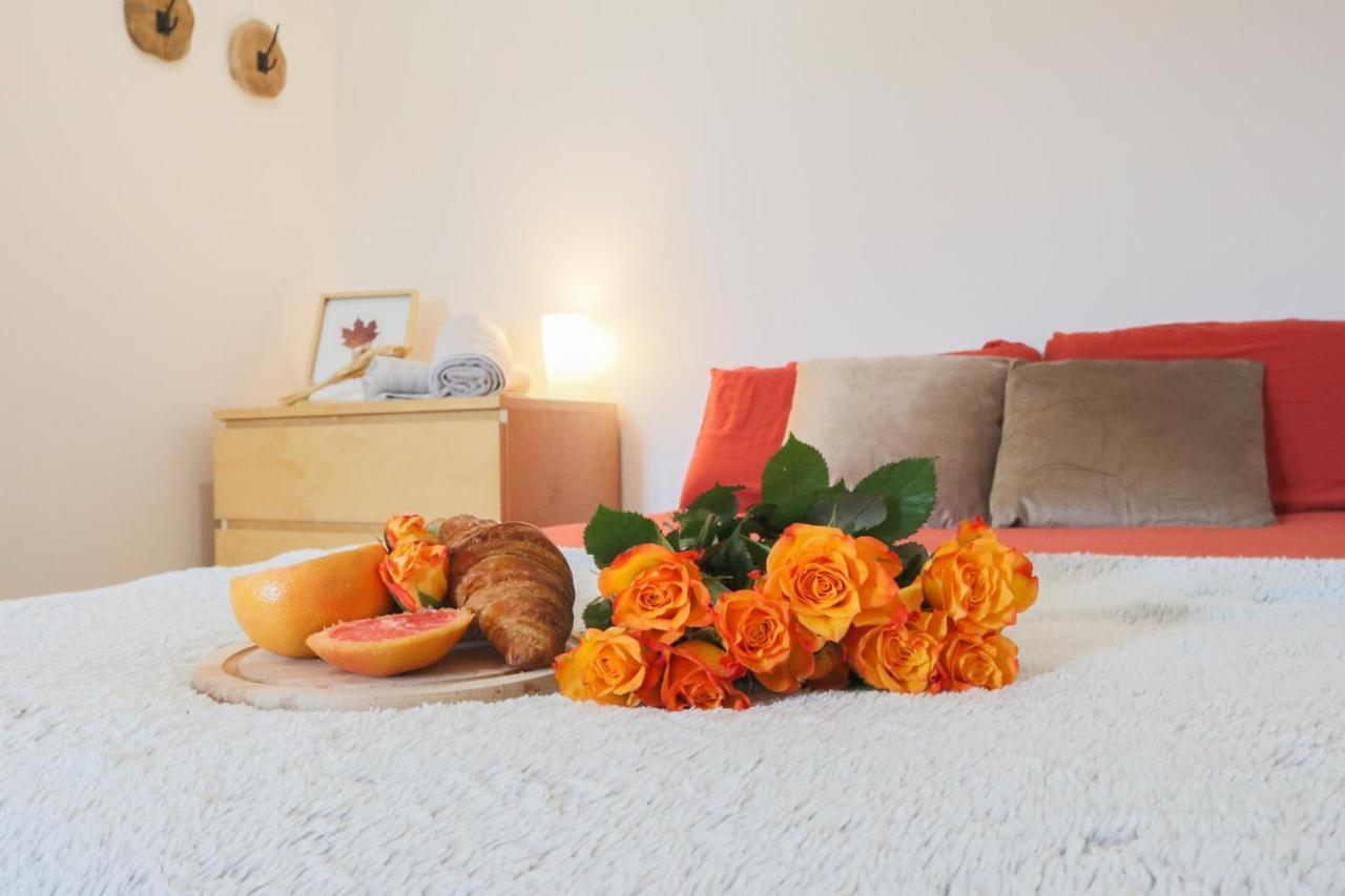 Apartment Le Cocon, Paisible & Doux Wahlbach
